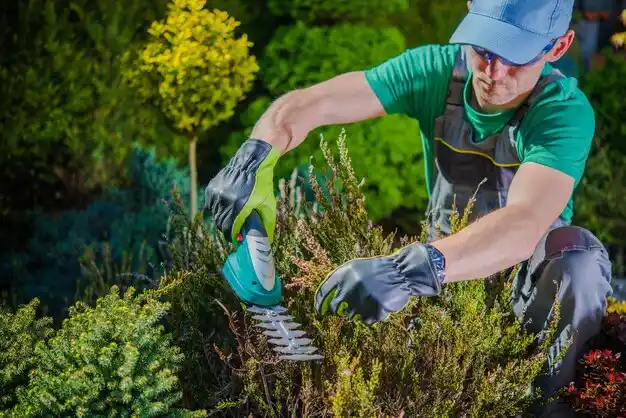 landscaping services Glen Cove